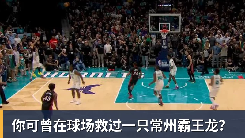 你可曾在球场救过一只常州霸王龙？
